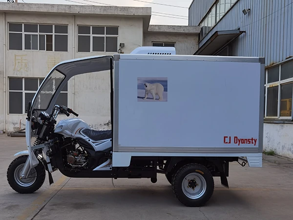SC1-FREEZER TRICYCLE 微信图片 20240617110220